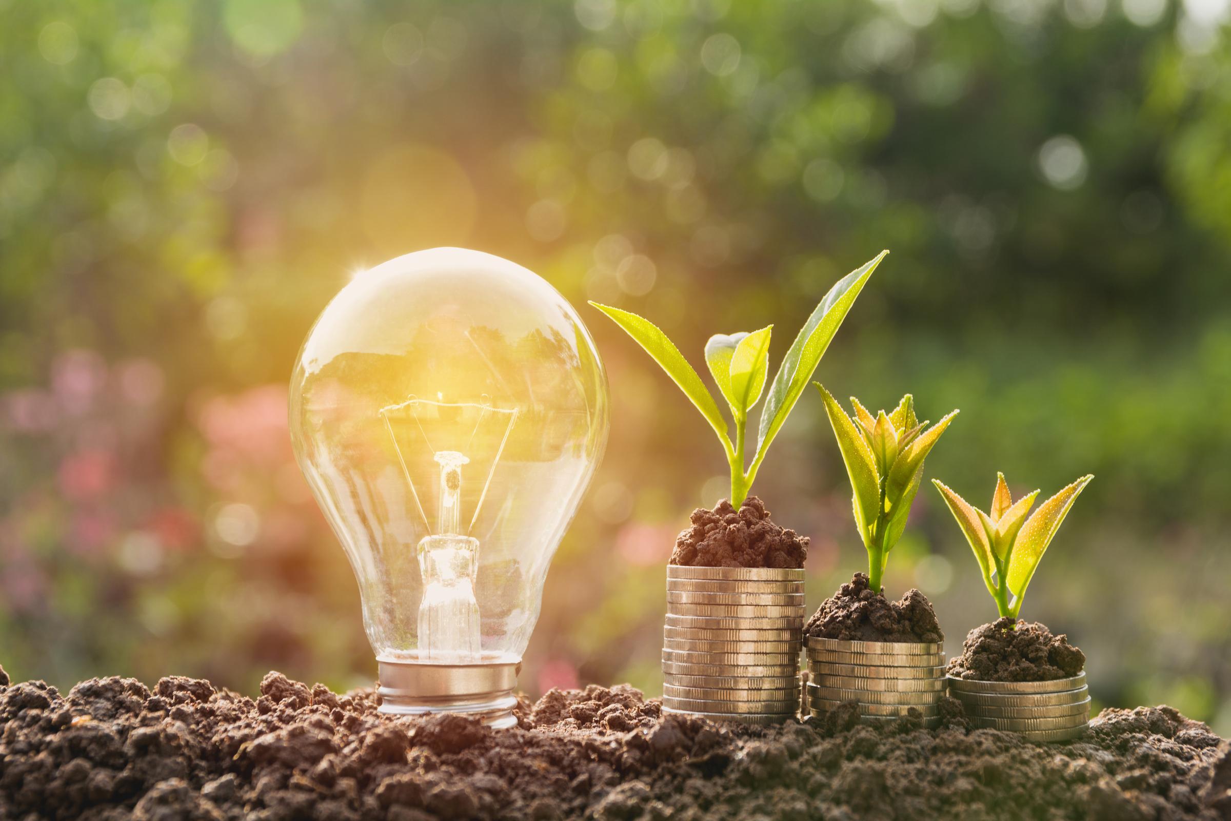 green savings, energy efficient light bulb in dirt next to sprouts on coin stacks green savings, energy efficient light bulb in dirt next to sprouts on coin stacks